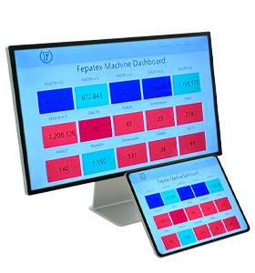Status Counter System Fepatex